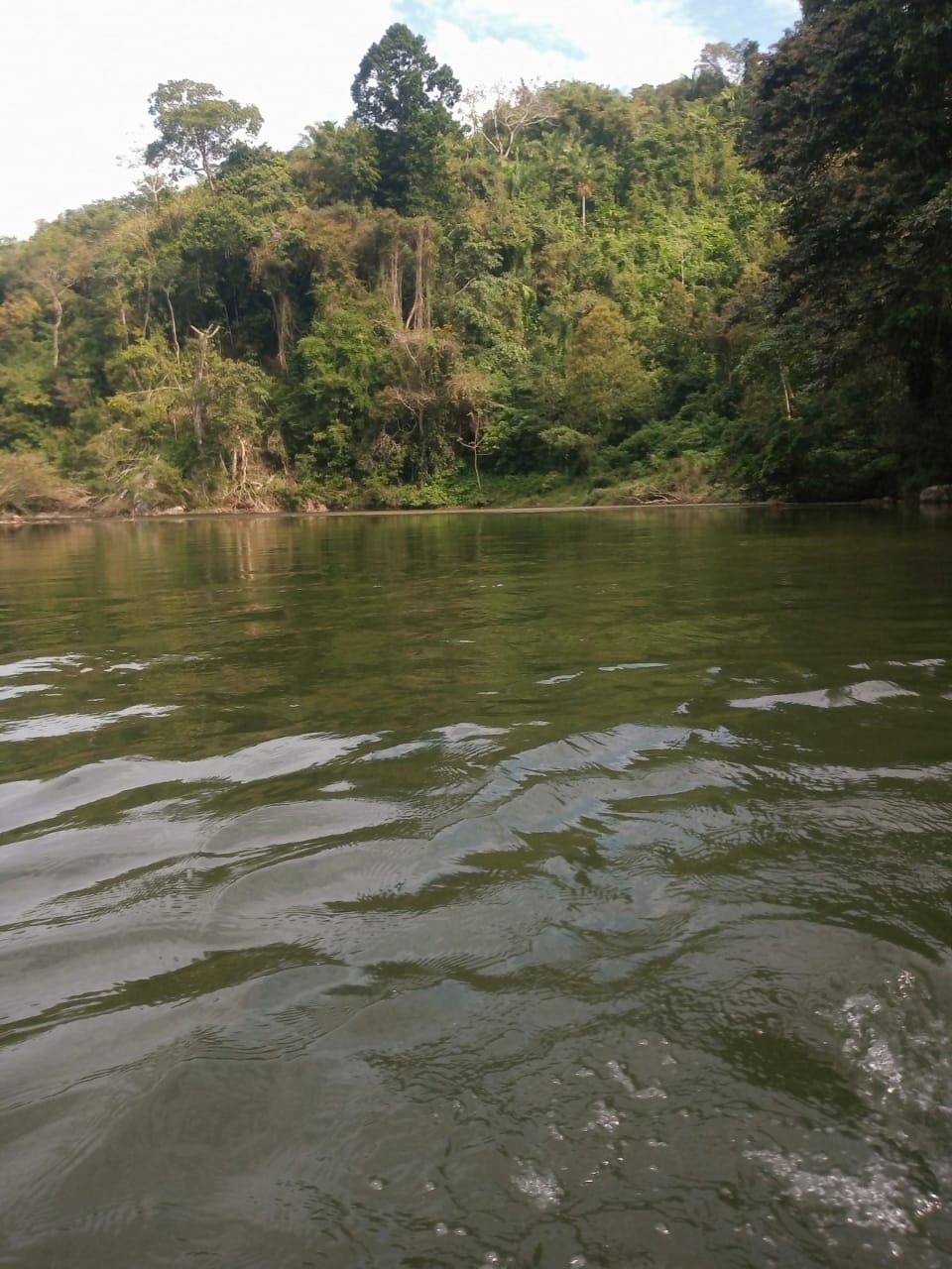 Río Palomino, donde se hace el tubing